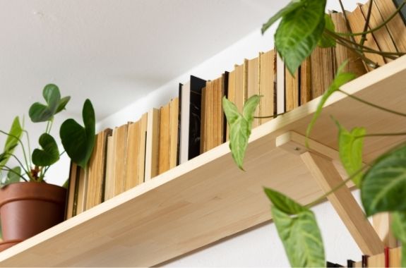 biophilic design in a home shown with houseplants and warm earth tones such as brown that represent nature